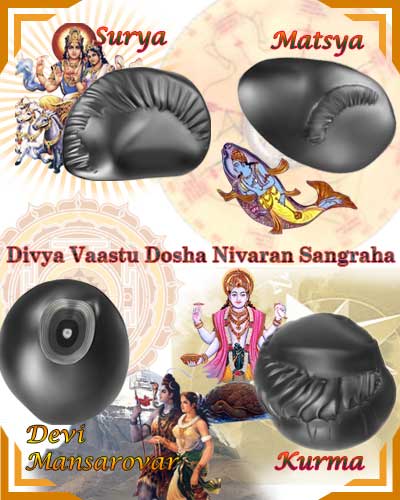 Auspicious Divya Vaastu Dosha Nivaran Sangraha-VD01